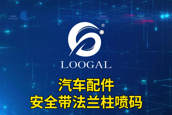 汽車(chē)配件-安全帶法蘭柱噴碼